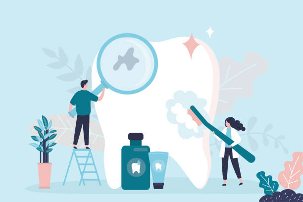 Nescopeck, PA Holistic Dental Care Services Company